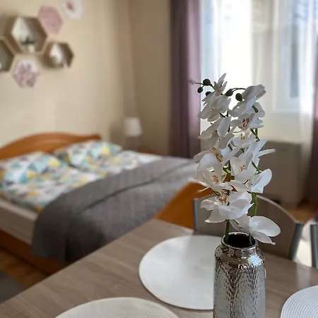 Fortuna 8 * Hajduszoboszlo